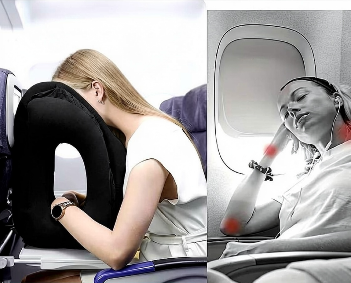 B ÉLÈVE Horizon Pillow™